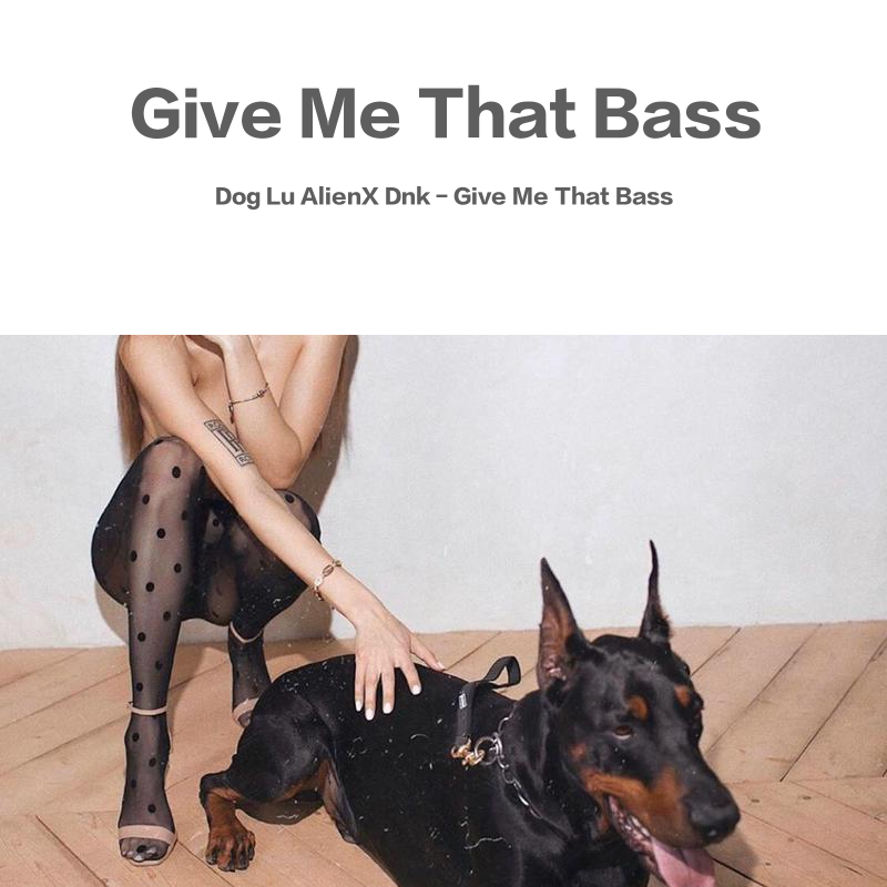 Arduini & Pagany-Give Me That Bass（Dog Lu / AlienX / Dnk remix）