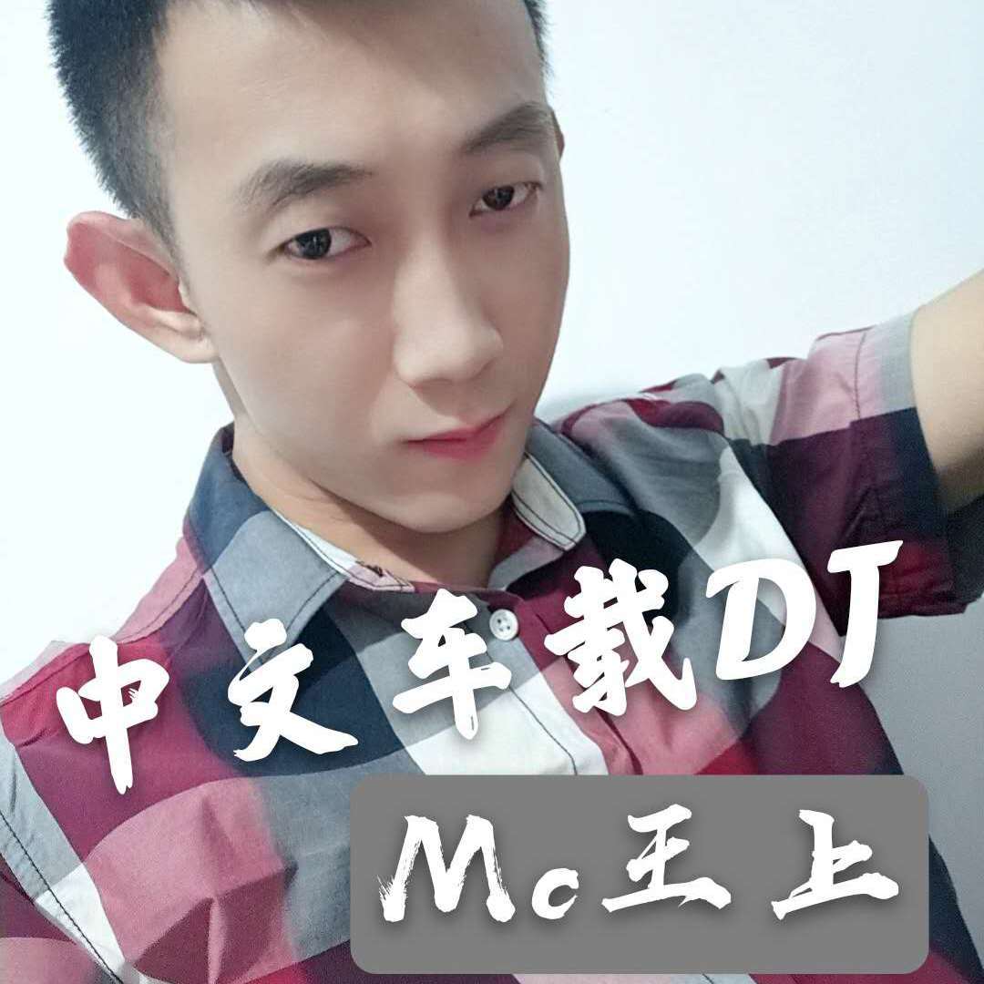 2020中文车载DJ - Mc王上封面