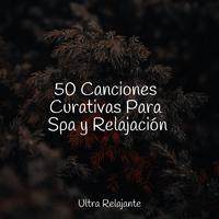 50 Canciones Curativas Para Spa y Relajación