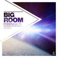 Big Room Essentials, Vol. 9