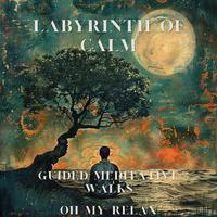 Labyrinth of Calm: Guided Meditative Walks