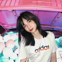 豆豆的忠粉