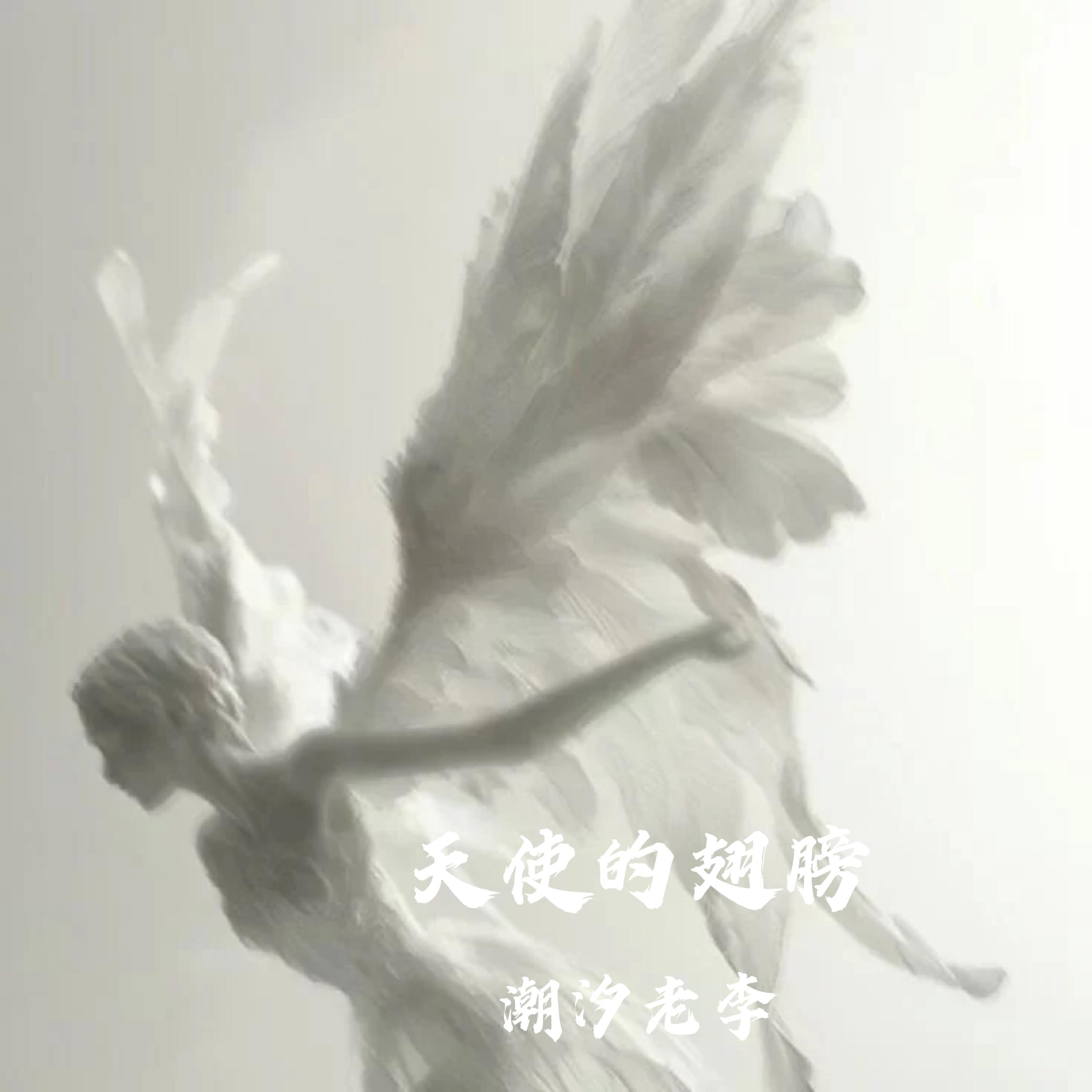天使的翅膀（R&B咕咚版）封面