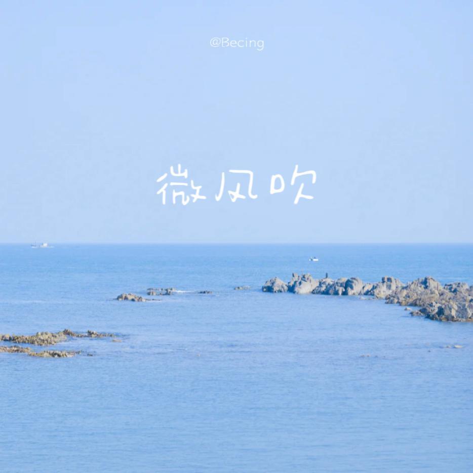 微风吹封面