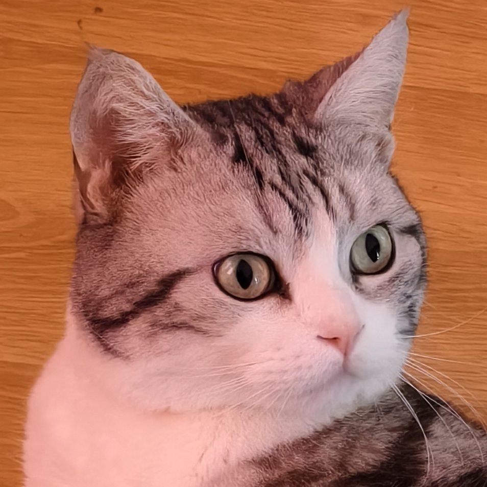 y1s1正经人谁听歌啊