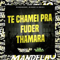 Te Chamei pra Fuder Thamara