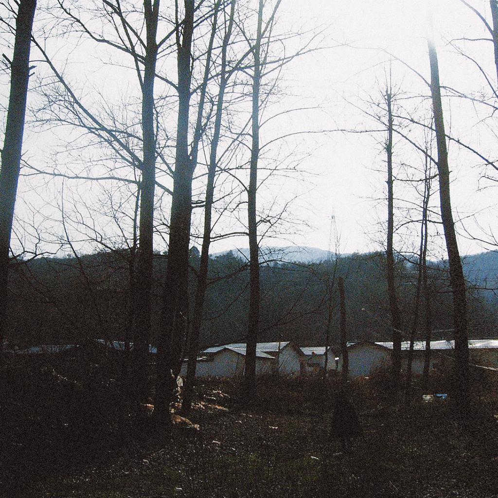 巧克力派派大星星