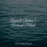 Rest & Relax | Ambient Music