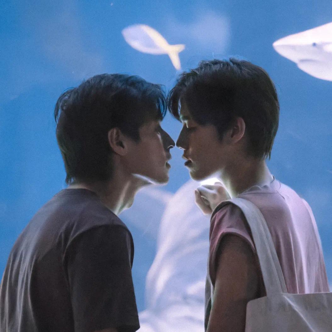 泰腐OST｜泰兰德夏天永不停歇