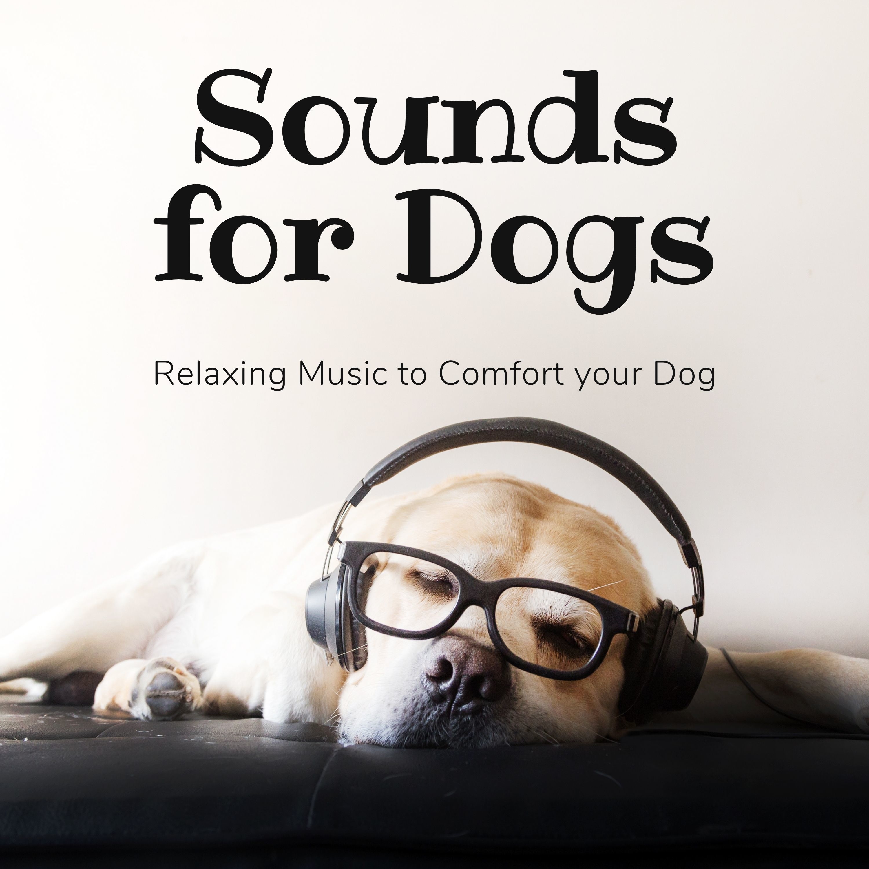 Relaxing sounds for dogs