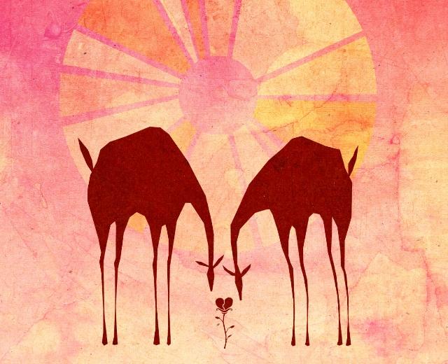 Steph Barrak
