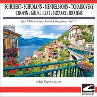 Schubert - Schumann - Mendelssohn - Tchaikovsky - Chopin - Grieg - Lizt - Mozart - Brahms - Short Pieces From Great Composers Vol. 1