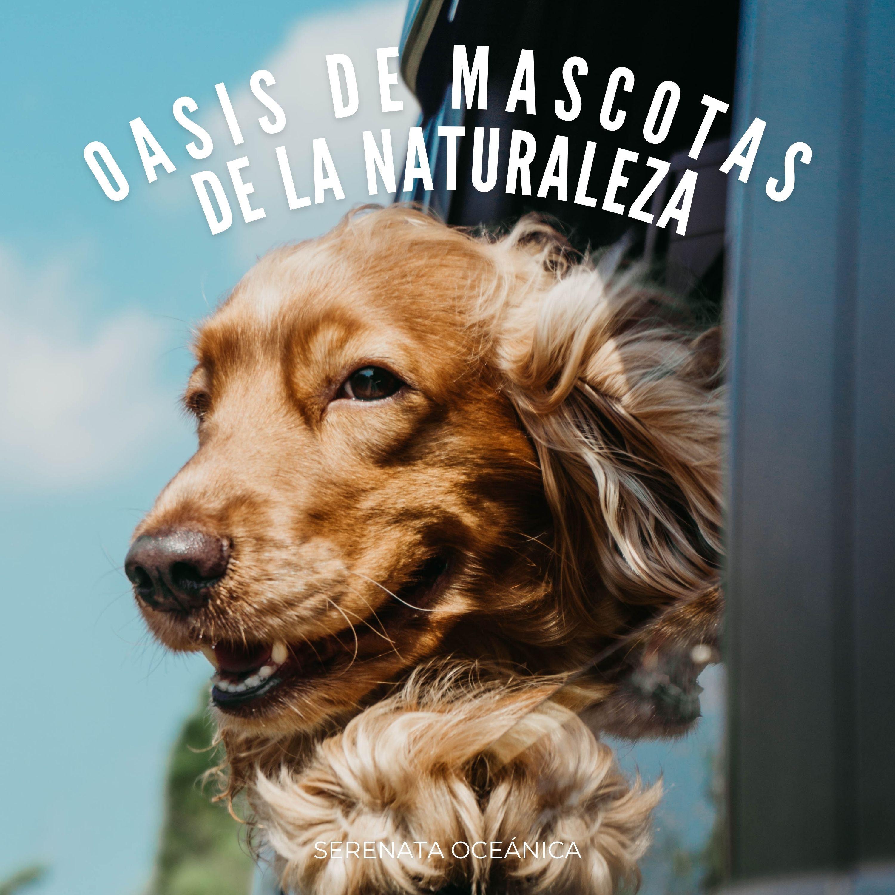 Ondas Del Océano Y Santuario De Mascotas En La Naturaleza_Dao Naturaleza_Oasis De Mascotas De La Naturaleza: Serenata Oceánica | 在线播放_Ondas Del Océano Y Santuario De Mascotas En La Naturaleza歌词_Ondas Del Océano Y Santuario De Mascotas En La Naturaleza下载 | 网易云音乐