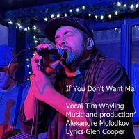 If You Don't Want Me (feat. Timothy Paul Wayling)