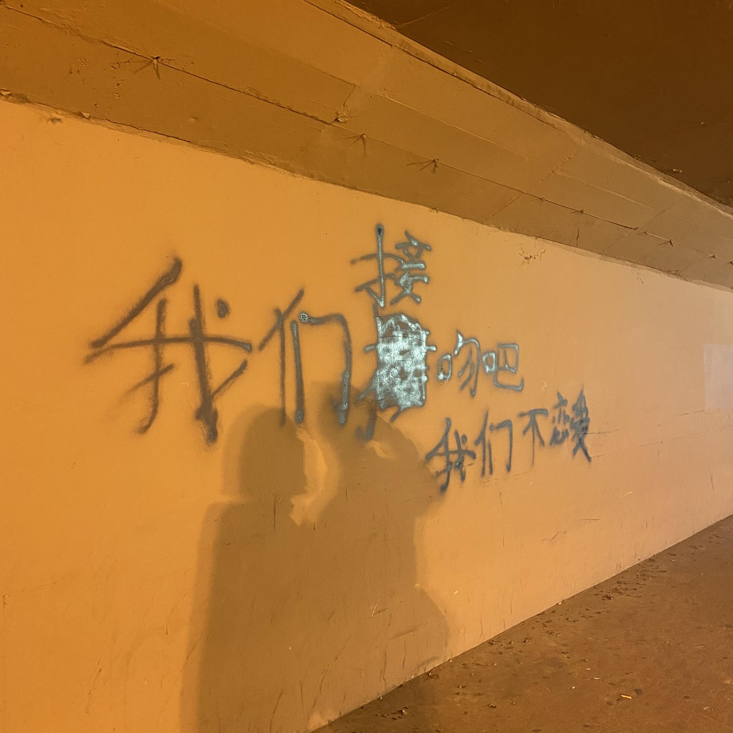 陌生的女人。封面