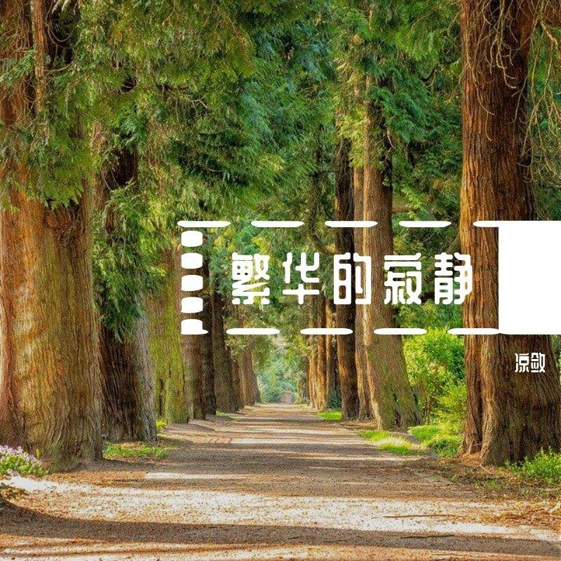 繁华的寂静（纯音乐）封面