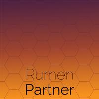 Rumen Partner