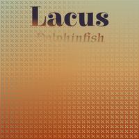 Lacus Dolphinfish