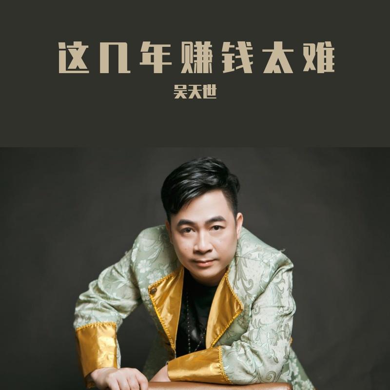这几年好难钱难赚（DJ）封面