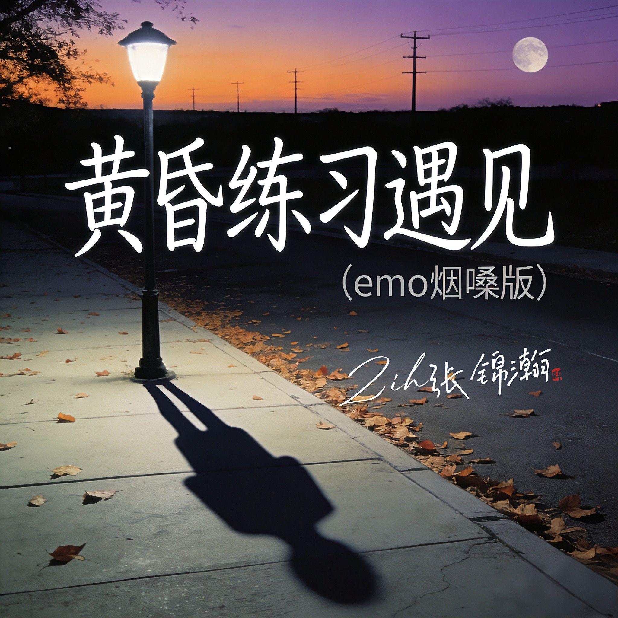 黄昏练习遇见(emo烟嗓版)封面