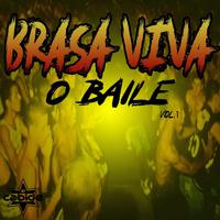 Brasa Viva o Baile, Vol.1