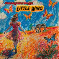 Little Wing