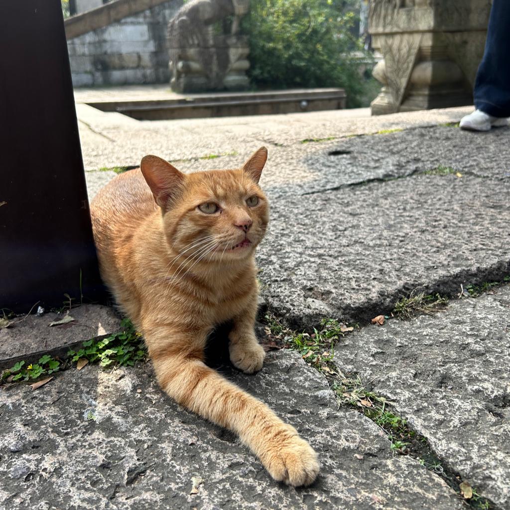 偷得浮生五分闲