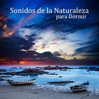 Sonidos de la Naturaleza para Dormir - Terapias de Relajación y Serenidad, Meditar, Yoga & Spa, Sanar el Alma