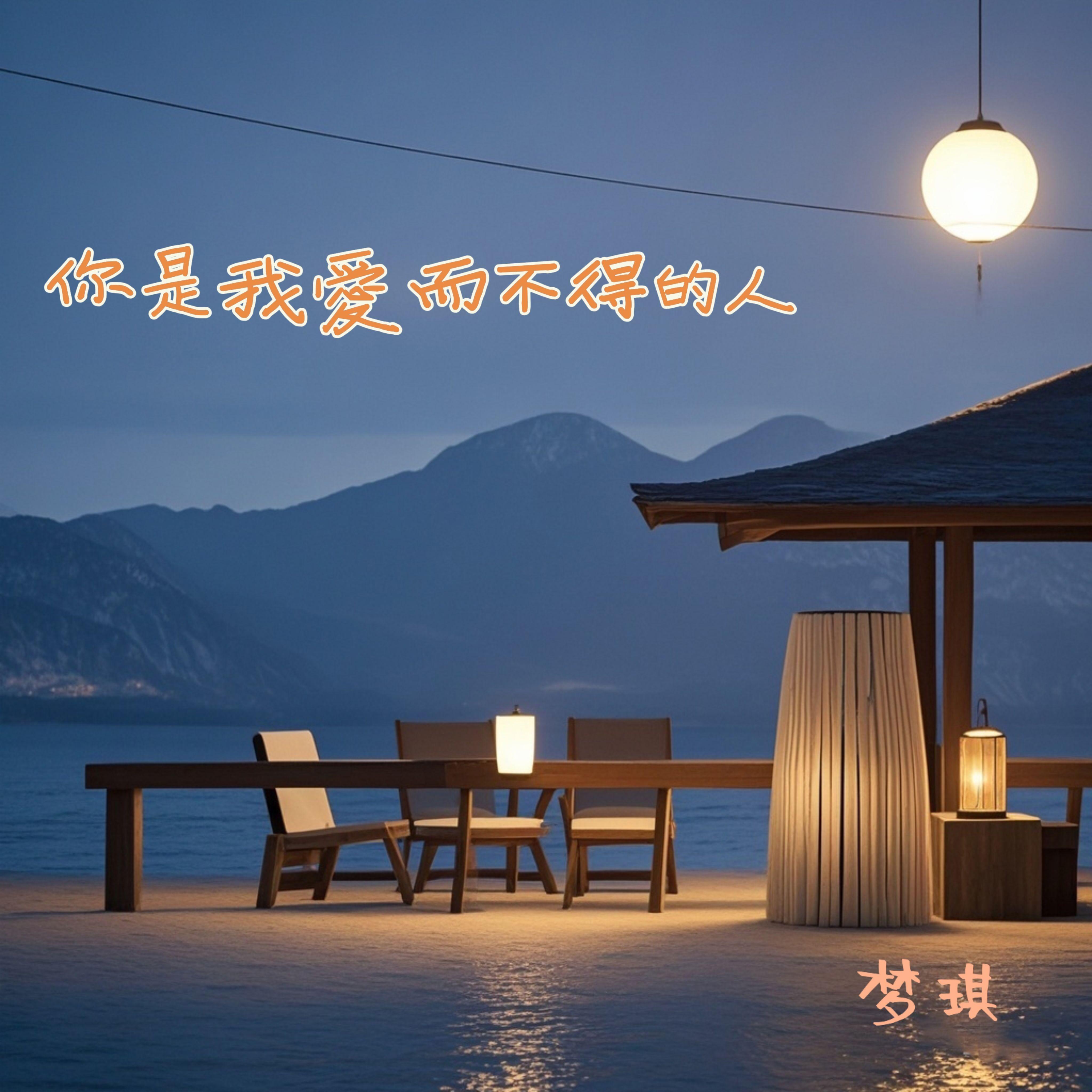 你是我爱而不得的人 - 梦琪封面