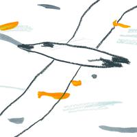Albatross