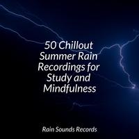 50 Chillout Summer Rain Recordings for Study and Mindfulness