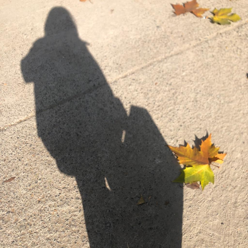 我在终焉惊悚游戏学戏神盗墓