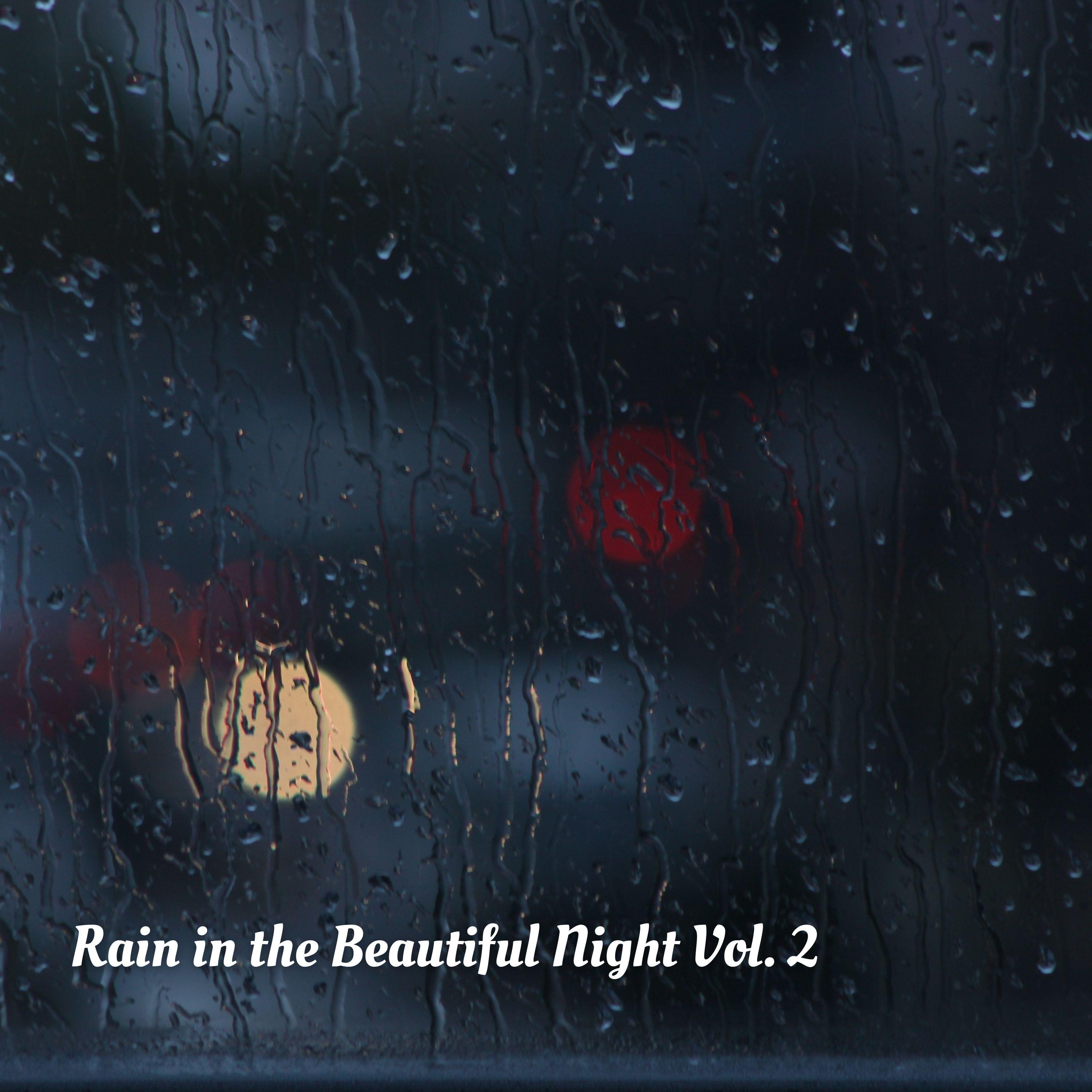 Night Storm Relaxing Rain_The Entrainment_Rain in the Beautiful Night Vol. 2 | 在线播放_Night Storm Relaxing Rain歌词_Night Storm Relaxing Rain下载 | 网易云音乐