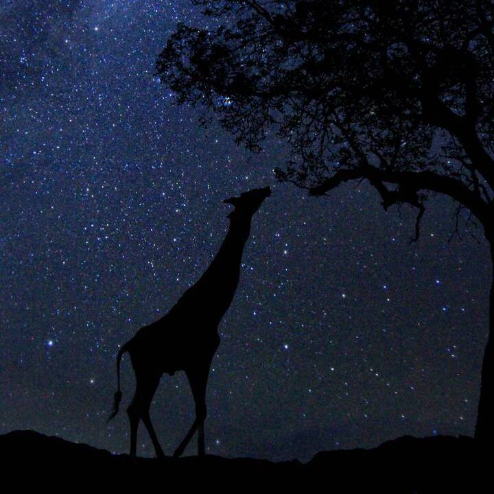 错过（钢琴曲）