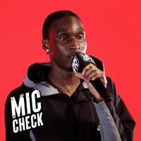 Berna Mic Check Freestyle