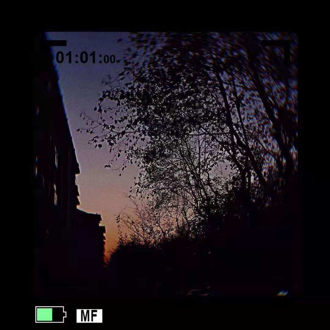 晚风封面