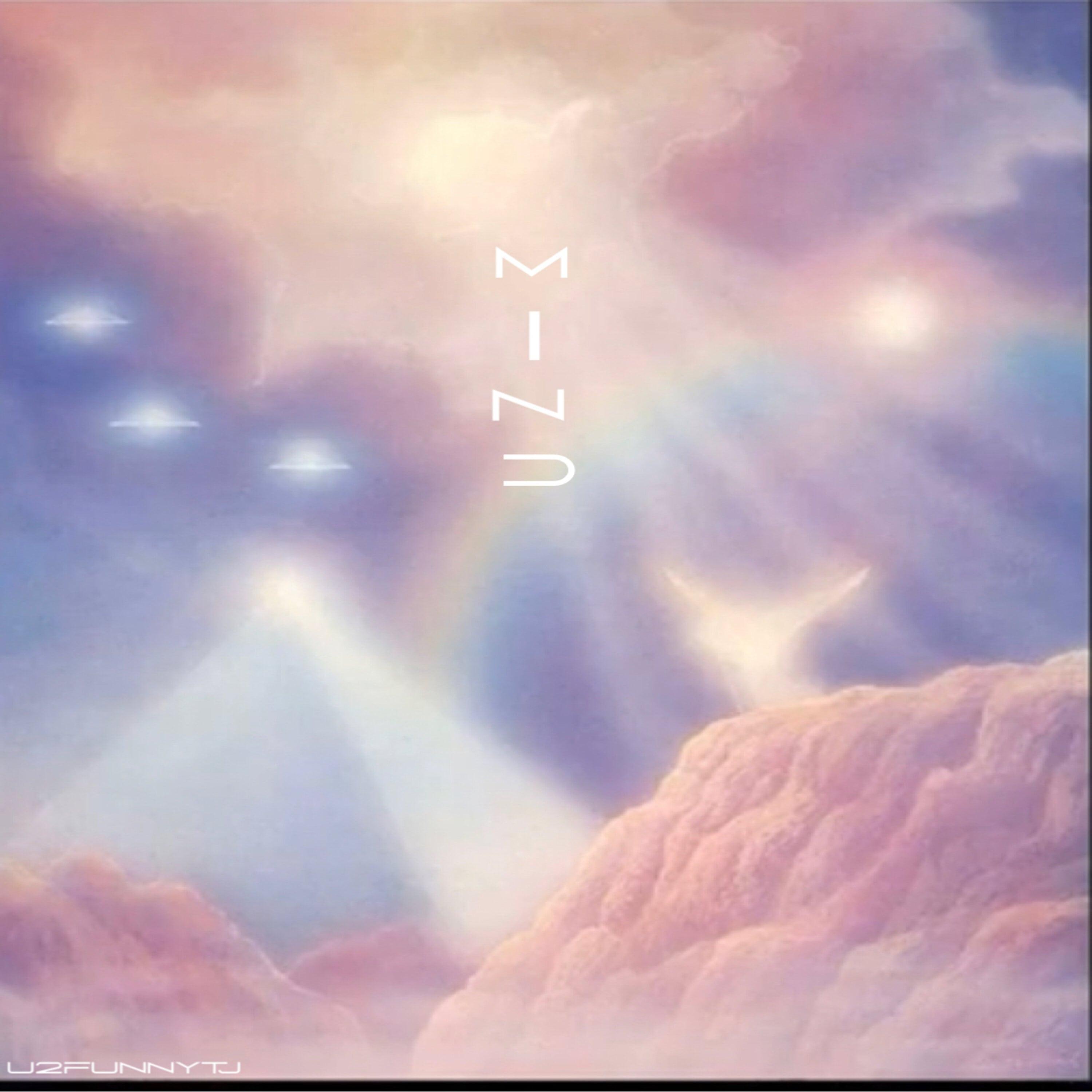 MIND (feat. ayoodrip, Sunny 2point0 & Pink Guy)