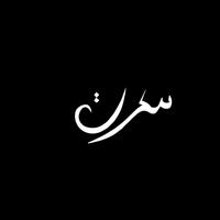 Mon Histoire (feat. Mc Majhoul) [Remix سكرت]