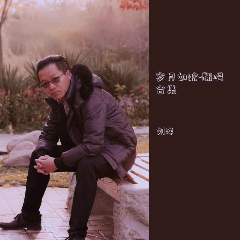 我还是走吧封面