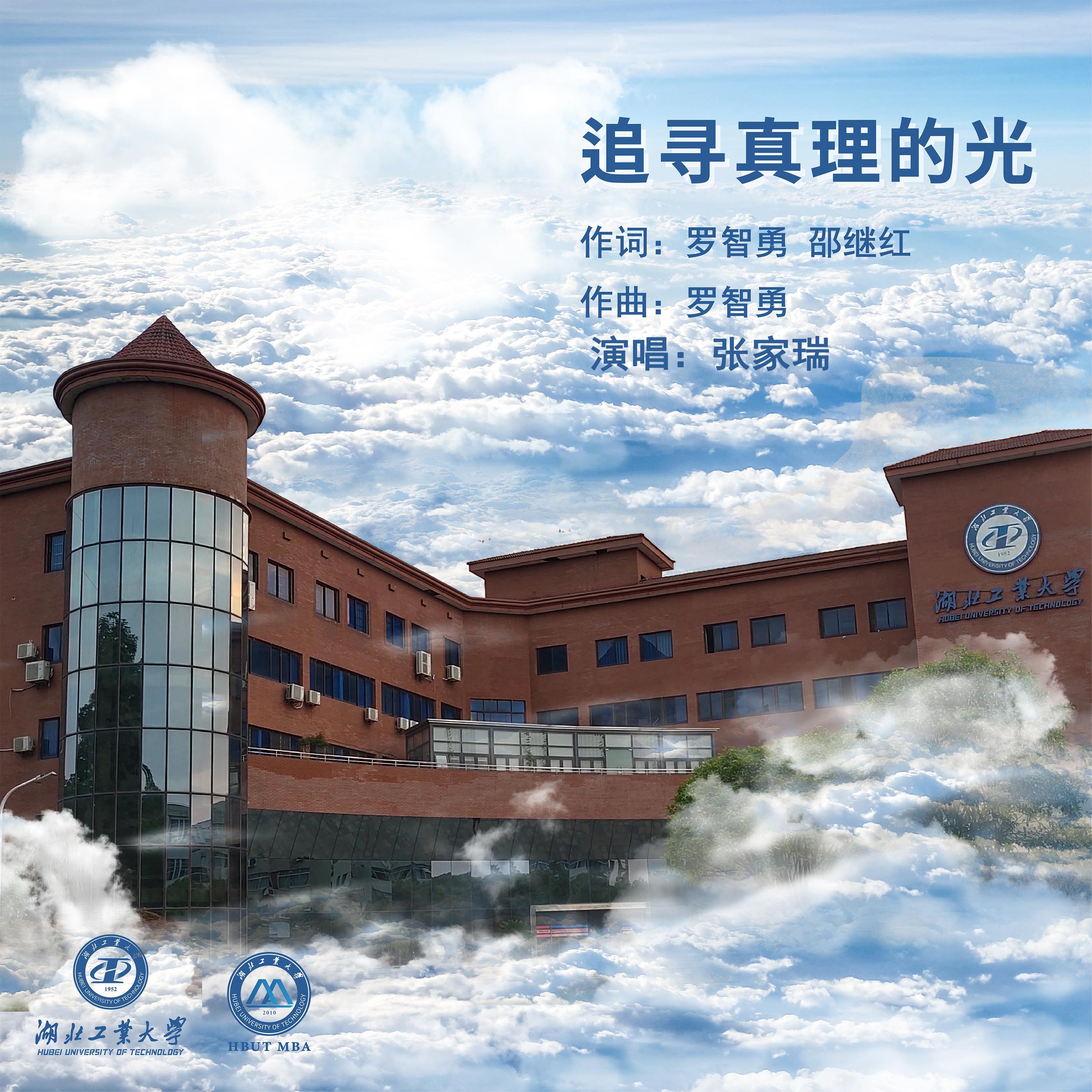 追寻真理的光 (伴奏)封面