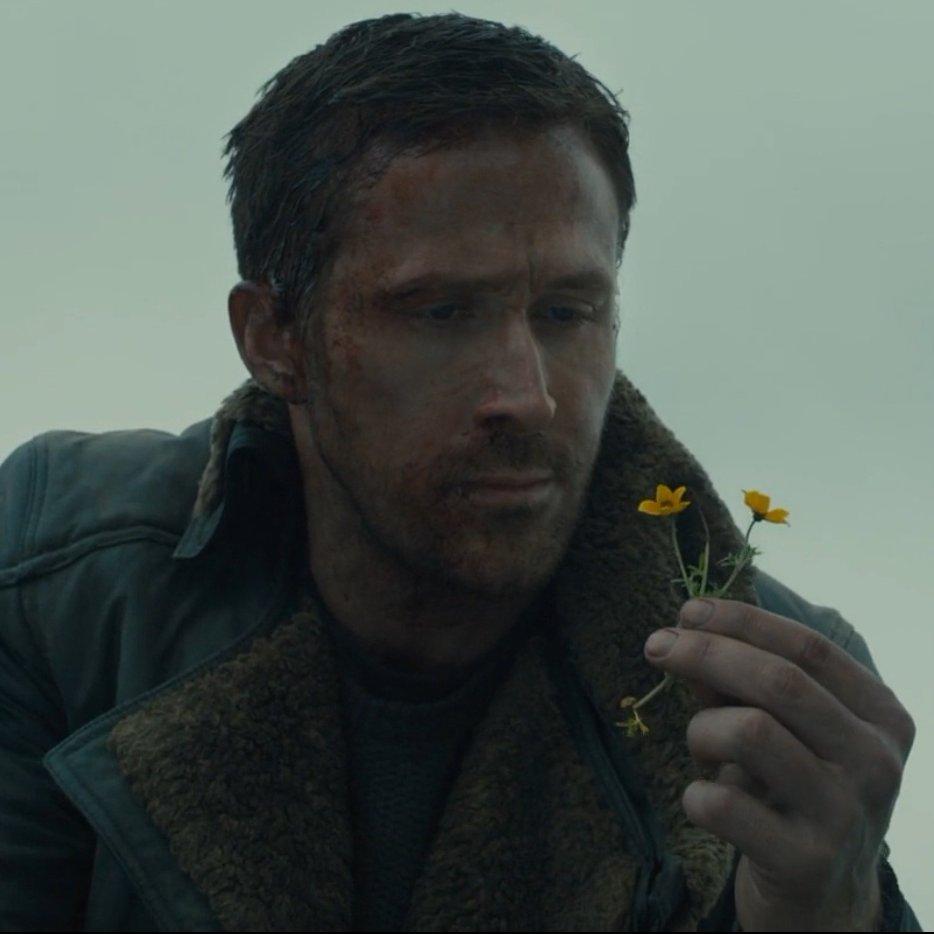 bro以为自己是瑞恩·高斯林(Ryan Gosling)