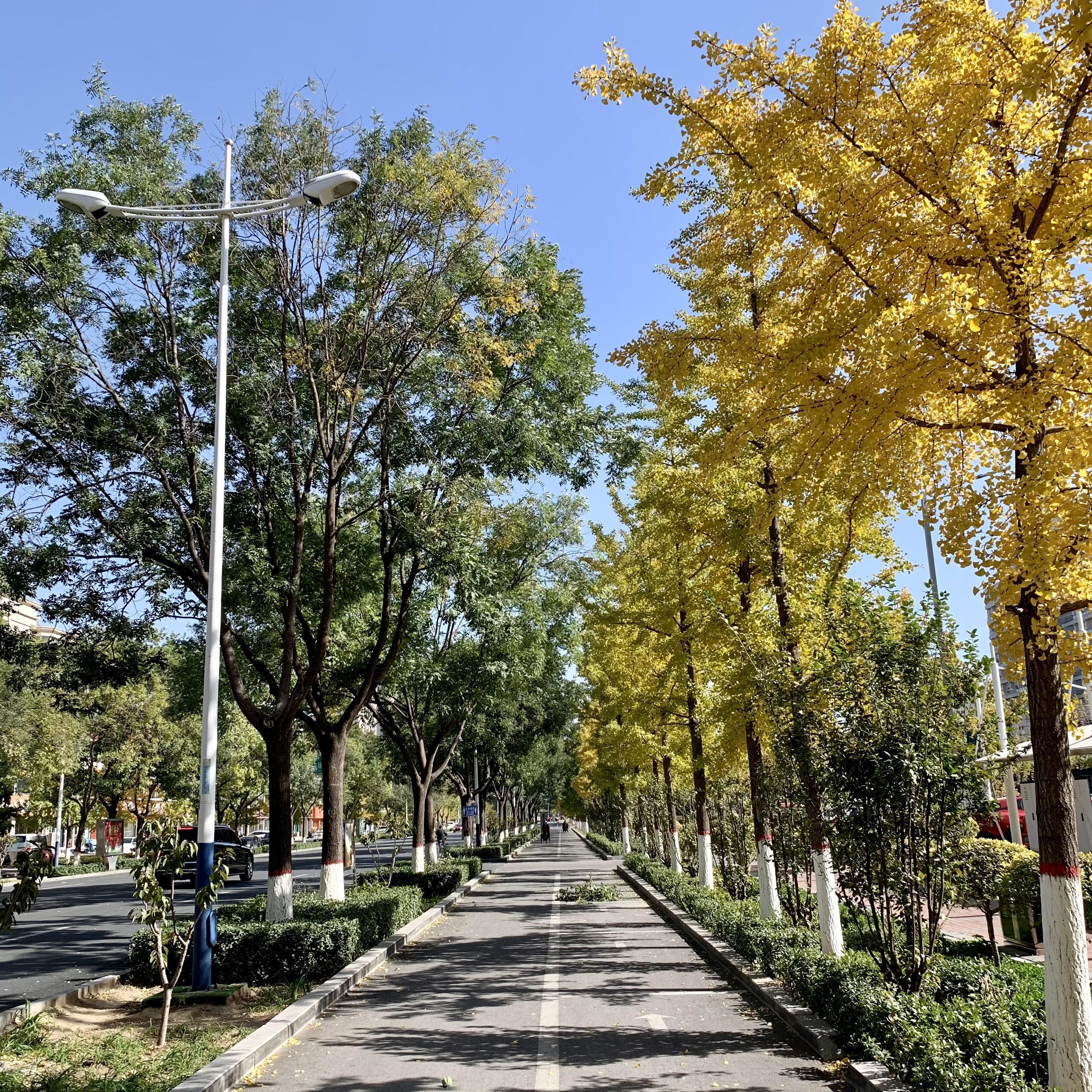 说不定明天他就来了封面