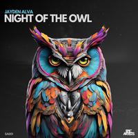 Night of the owl