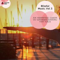 An Essential Guide To Understanding The Yoga - Blissful Music, Vol. 3