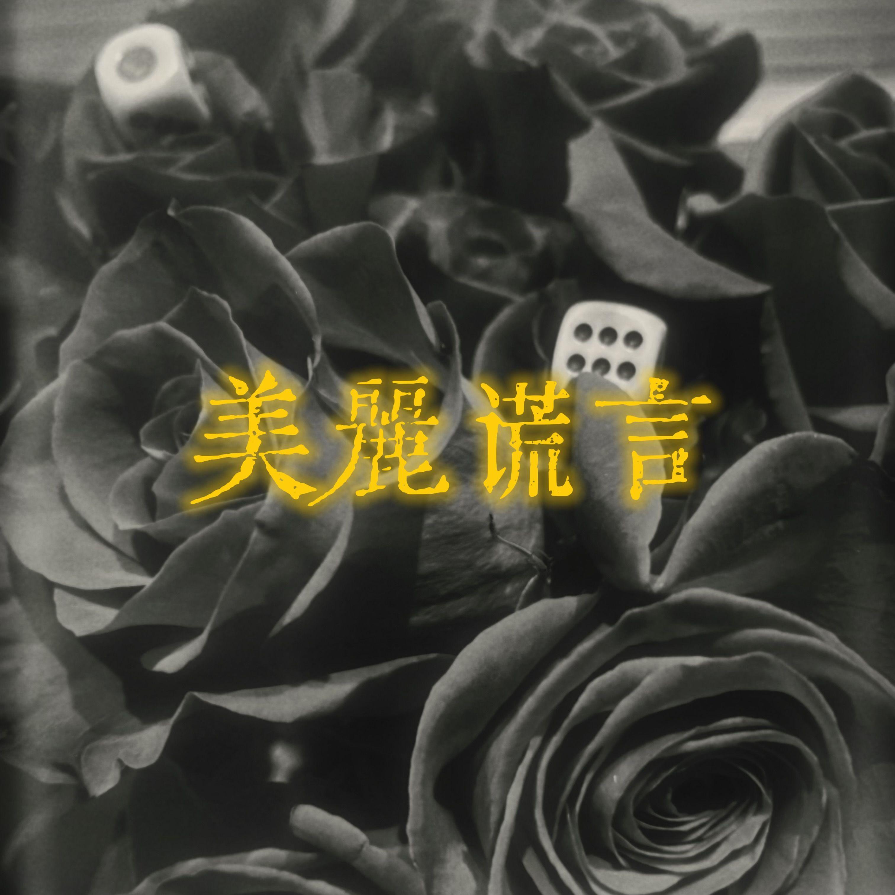 美丽谎言封面