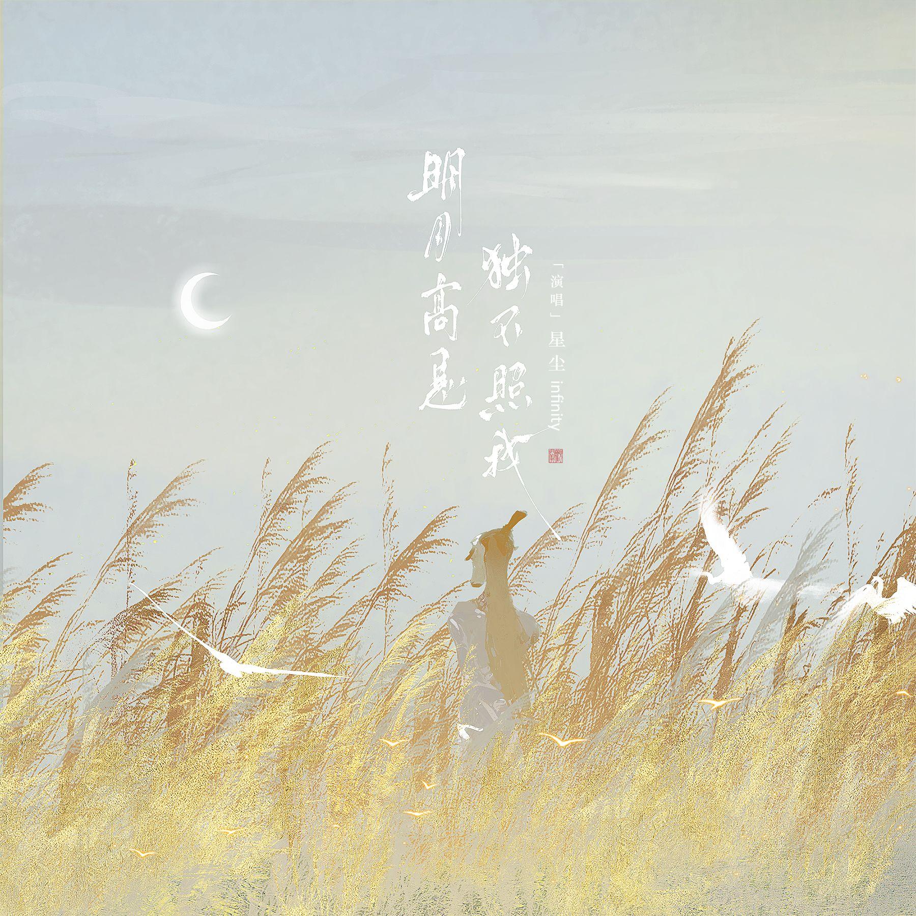 明月高悬 独不照我——星尘infinity版封面