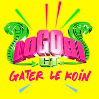 Gâter le Koin (radio edit) - Single