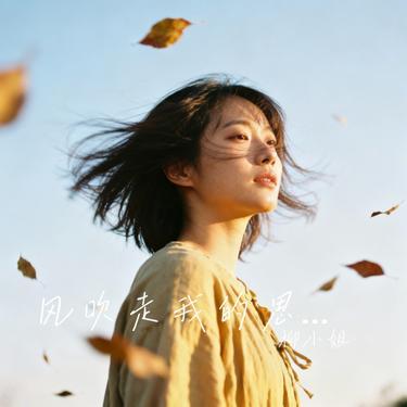 风吹走我的思念 (Cover 陆山川)封面