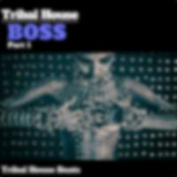 Tribal House Boss, Pt. 1 (Tribal House Beats)