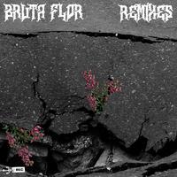 Bruta Flor (Remixes)